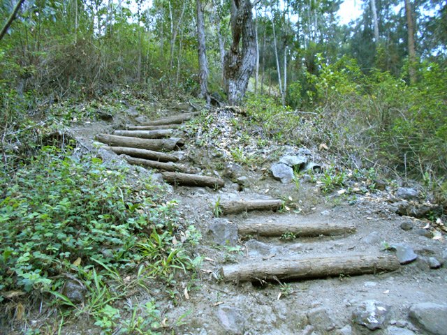 Cette descente sableuse comporte heureusement de nombreuses marches