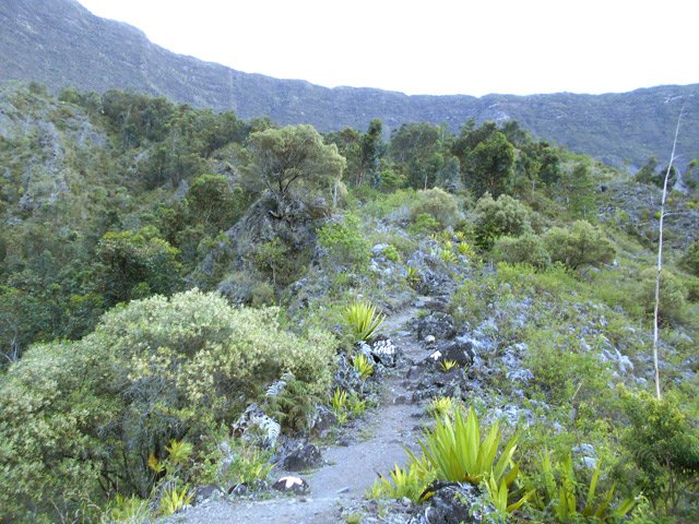 Le sentier facile de la savane