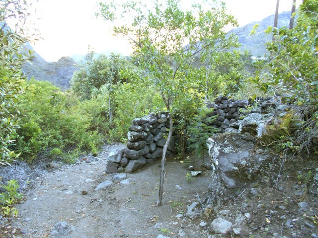 Peut être un enclos pour les chèvres à l'époque ?