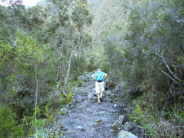 Début de la montée vers le sommet du Piton Gros Galet
