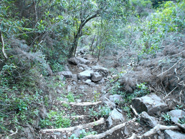 Alternance de bois et de pierre