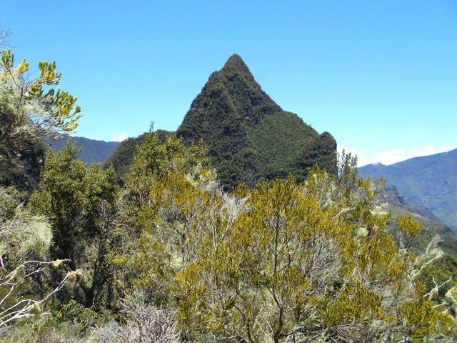 On domine presque le Bonnet de Prêtre
