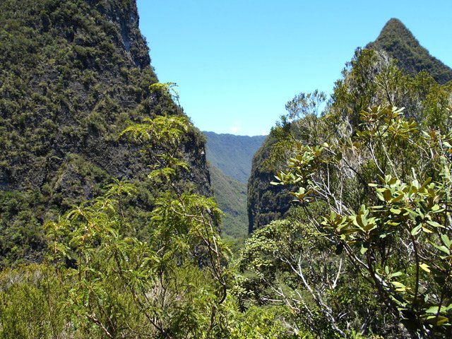 La vallée de la Ravine des Calumets par une prise de vue inhabituelle