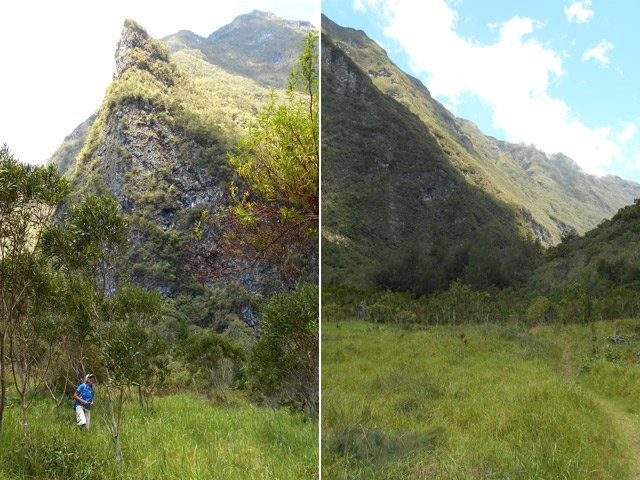 Retour à la Mare à Montfleury. Le sentier qui plongera bientôt vers Palmiste Rouge