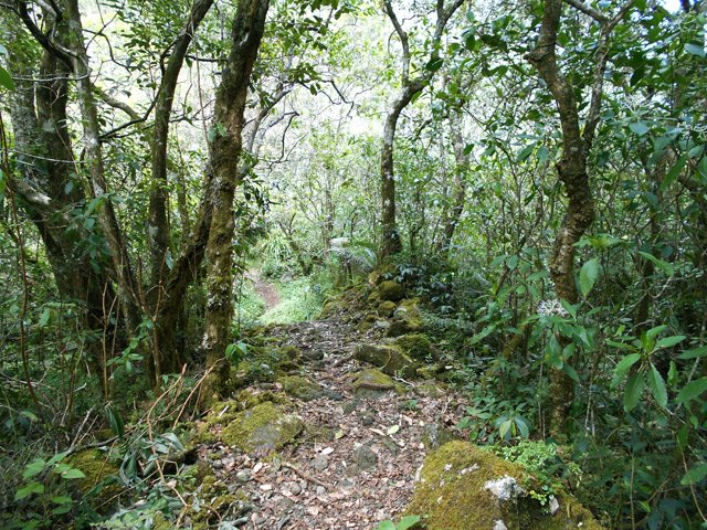 Une idée du sentier des Calumets dans la descente