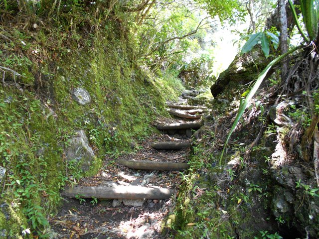 Quelques fortes montées sur marches