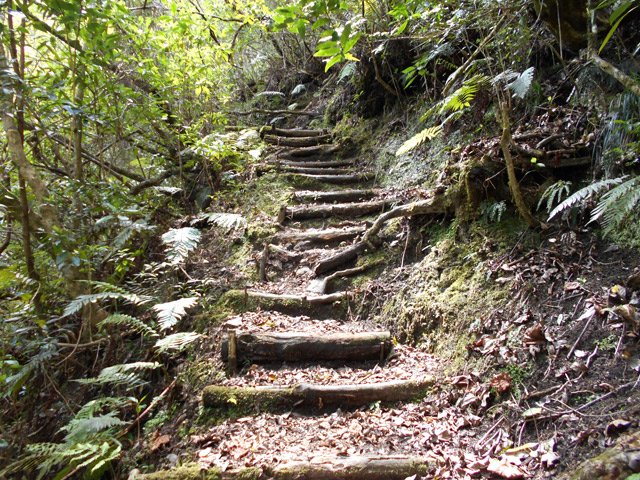 Une portion de la montée du Sentier de Gueule Rouge