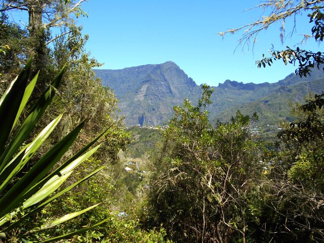 Après les champs, les bois de couleurs procurent un peu d'ombre