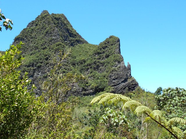 Impressionnant Bonnet de Prêtre depuis le sentier