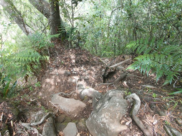 Sentier un peu défoncé près de ce bois de rempart