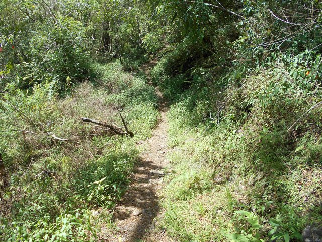 La fin du parcours s'effectue sur un sentier étroit mais agréable