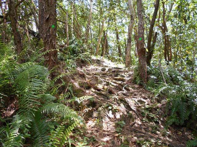 Dernier passage sur racines