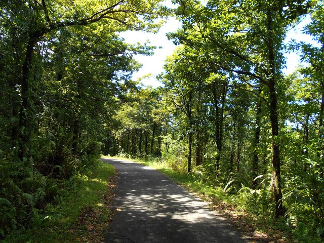 La partie ouverte à la circulation est agréable mais il faut prêter l'oreille aux bruits de moteurs