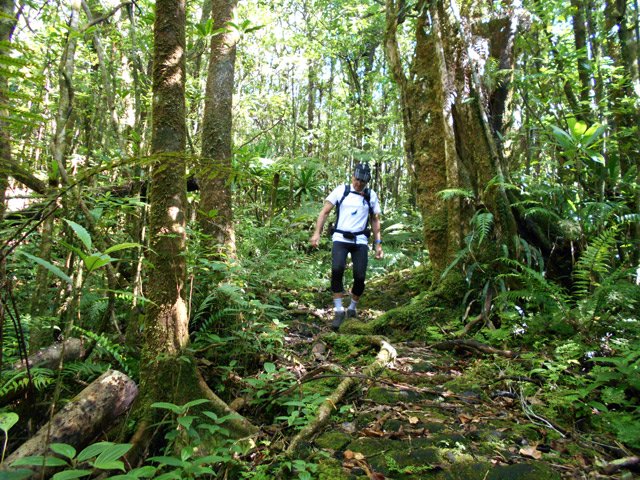 La lave est souvent moussue et peut être glissante s'il a plu
