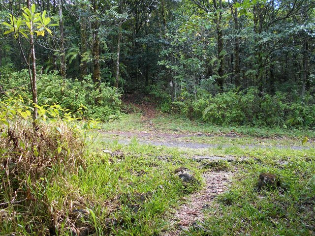 Le sentier coupe une dizaine de fois la Route Forestière de Mare Longue