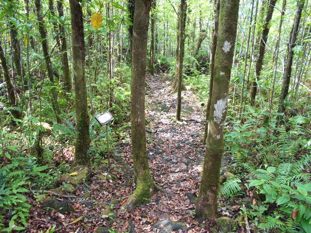 Ce sentier est un des rares de l'île a avoir encore sa signalétique