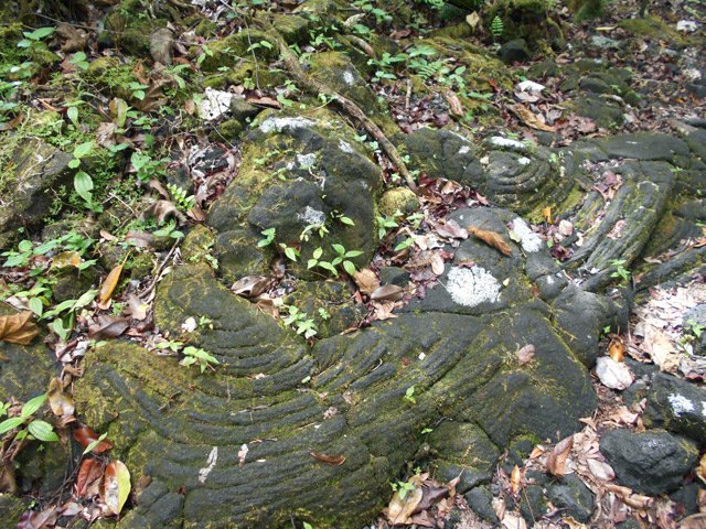 Très anciennes coulées, plus agréables que les milliers de cailloux de lave