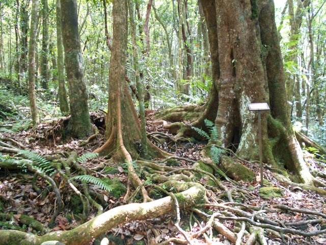 La boucle nécessite près de deux heures si on veut s’intéresser à toutes les espèces présentées