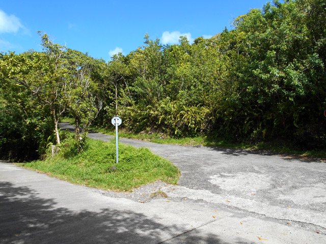 Traverser le Chemin de Ceinture pour poursuivre vers le jardin botanique