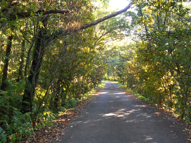 Montée douce et régulière dans les nattes et bois de couleurs