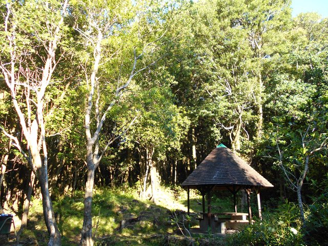 Le kiosque au départ du circuit de découverte. Filer sur la piste