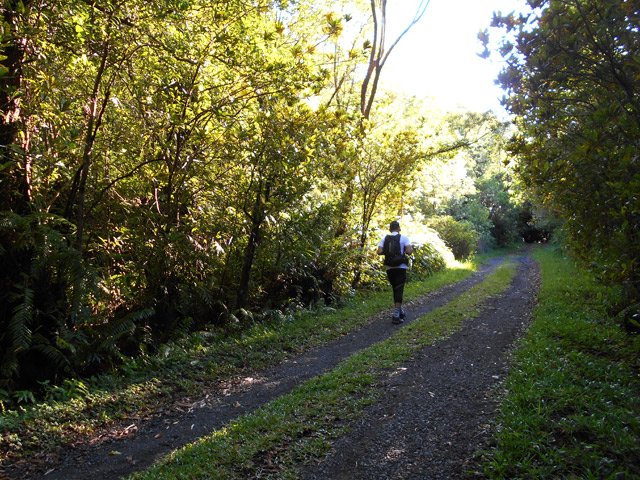 On monte de 540 mètres sans s'en rendre compte, à l'ombre des grands arbres