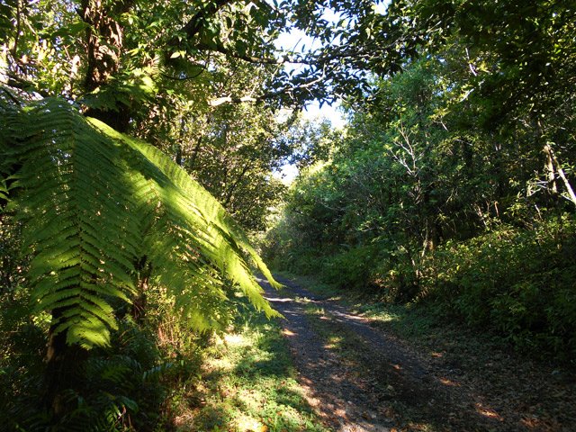 Une portion plus terreuse que les autres