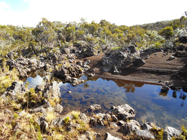 Une autre ravine avant le Grand Bras Piton