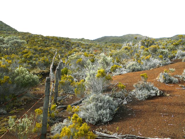 C'est parti pour suivre deux km de clôtures de barbelés infranchissables