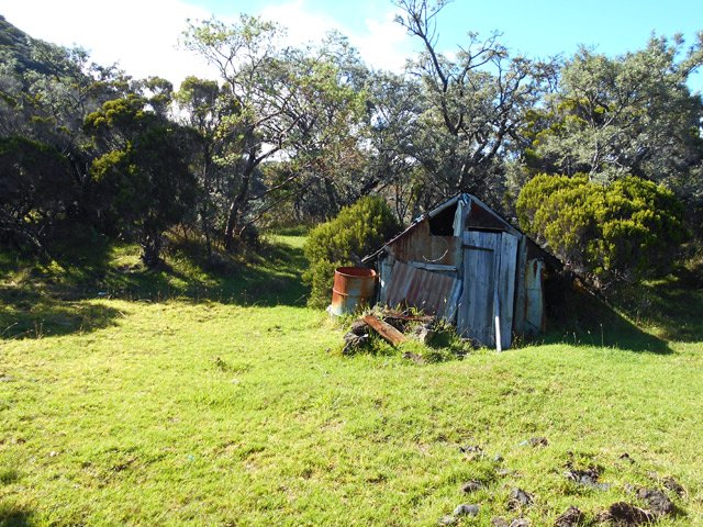 La cabane en tôle a bien vieilli dans ce joli coin de paradis à 2200 m d'altitude