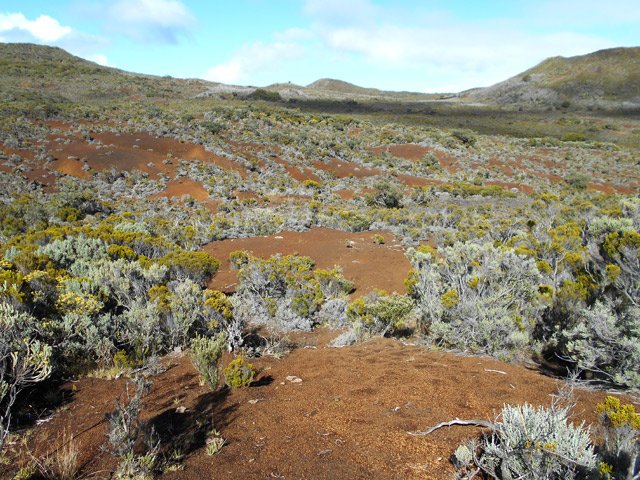 Une très bonne idée du paysage en direction du Piton textor