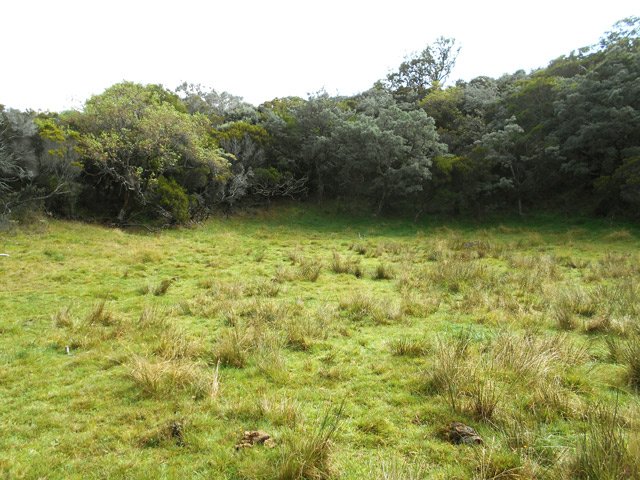 Une forte montée amène au fond de cratère du Piton des Treize Cantons
