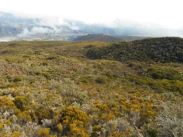 Superbes points de vue sur la Plaine des Palmistes depuis le sommet du Piton des Treize Cantons