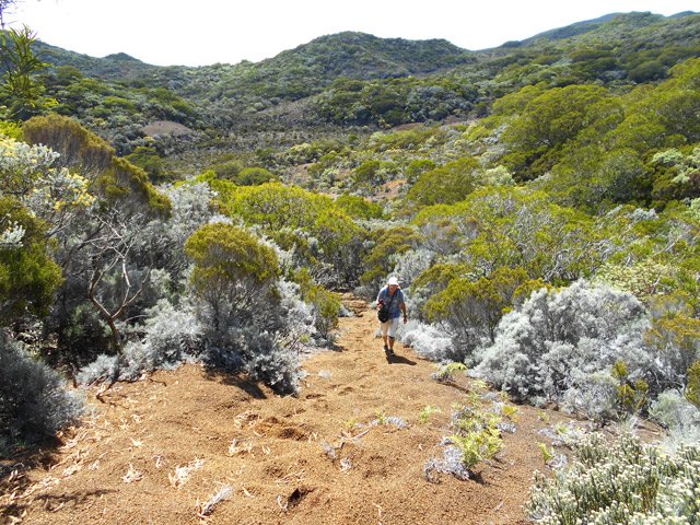 La fin de la boucle alterne les lapillis et les branles verts