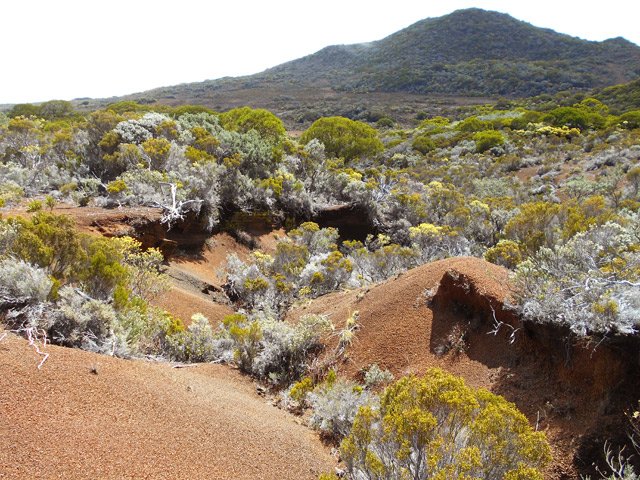 Nouveaux paysages sauvages faits cette fois de lapillis usés par les eaux