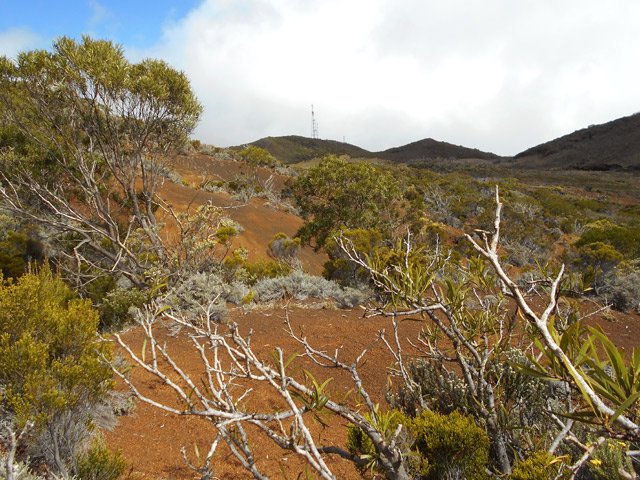 Le pylône du Textor sert de point de repère