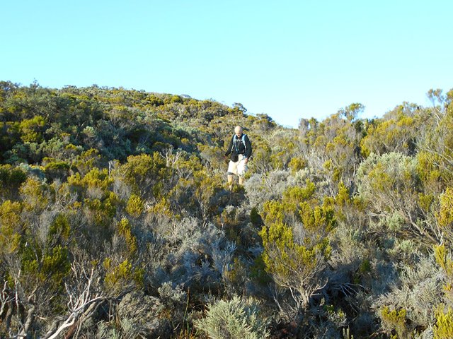 Cheminement facile dans les petits branles verts parcourus par les bovins