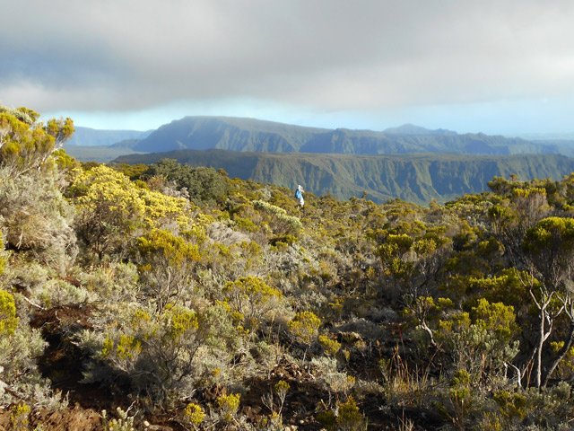 Paysage aux alentours du Grand Bras Piton
