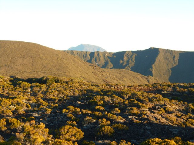 Au lever du jour, tout paraît jaune
