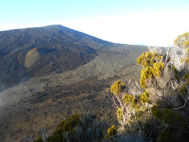 Le Puy Mi-Côte se recouvre, année après année de lave noire qui le fera disparaître