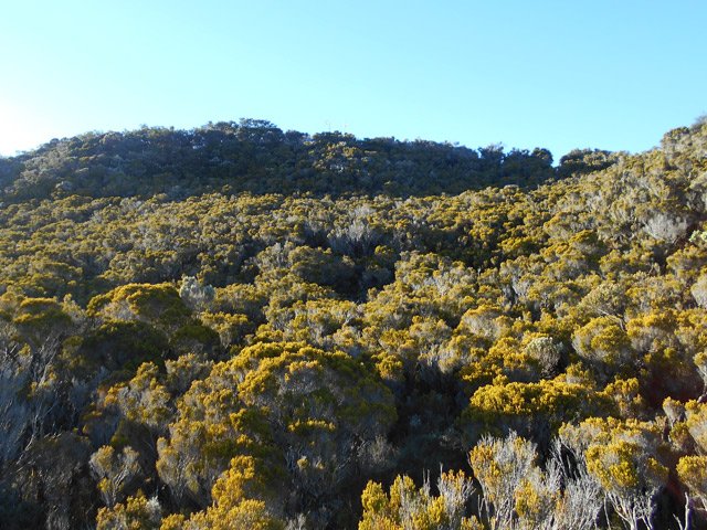 Un dernier regard au discret piton avant de repartir vers le Pas de Bellecombe