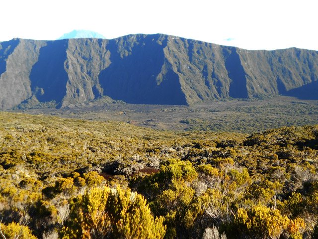 De là-haut, on voit toute la Savane Cimetière et le Fond de la Rivière de l'Est