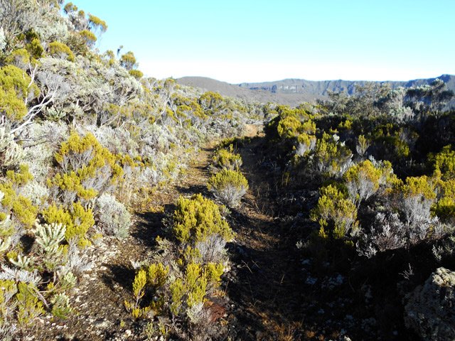 Le début de la piste en direction du gîte
