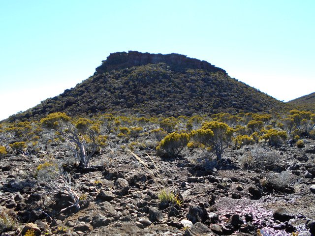 Peu de végétation à la montée au Piton Rouge des Remparts