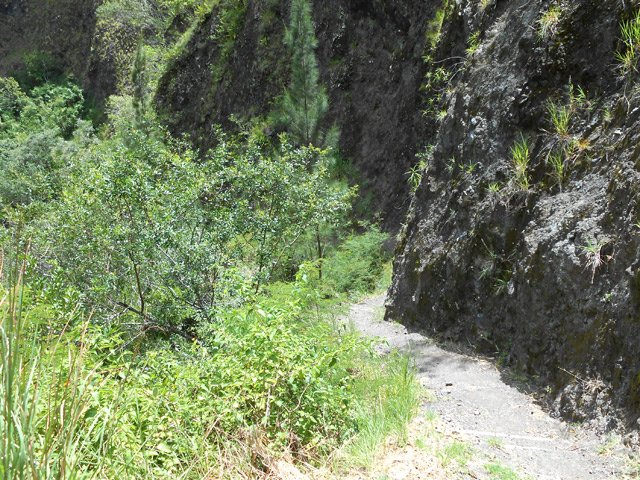 Quelques marches sableuses du sentier Burel à flanc de falaise