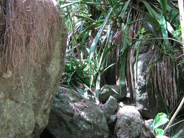 Les gros rochers qui bordent la Ravine de la Roche Pendue