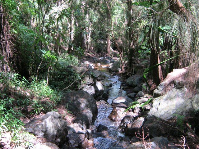 Petite balade le long de la ravine avant de prendre le sentier en rive gauche