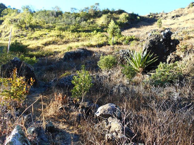 Le sentier sous les filaos est terminé. Il ne reste plus que cette dernière difficulté