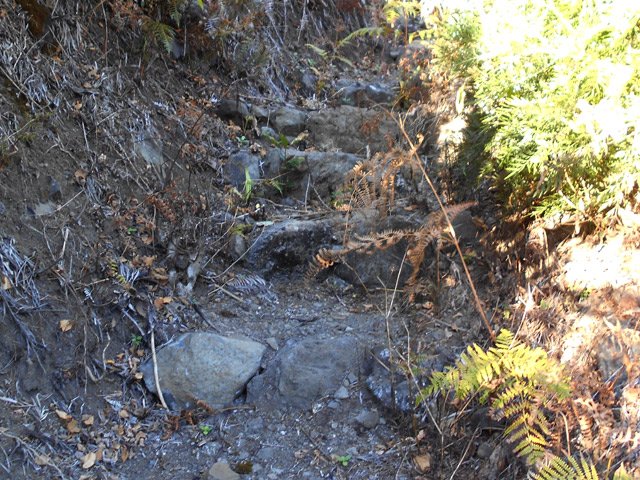 Ces restes de marches en pierre témoignent d'un sentier de qualité