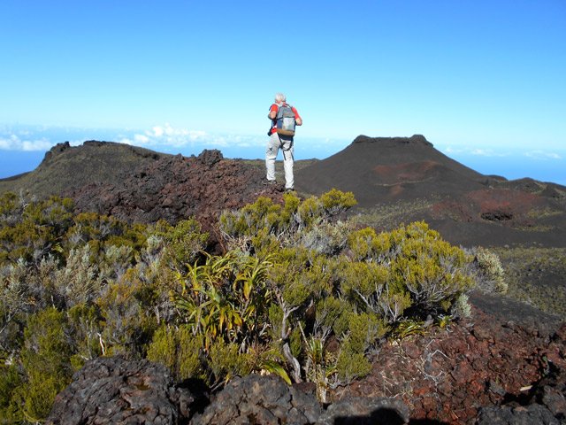 Certains cratères peu profonds sont recouverts de végétation